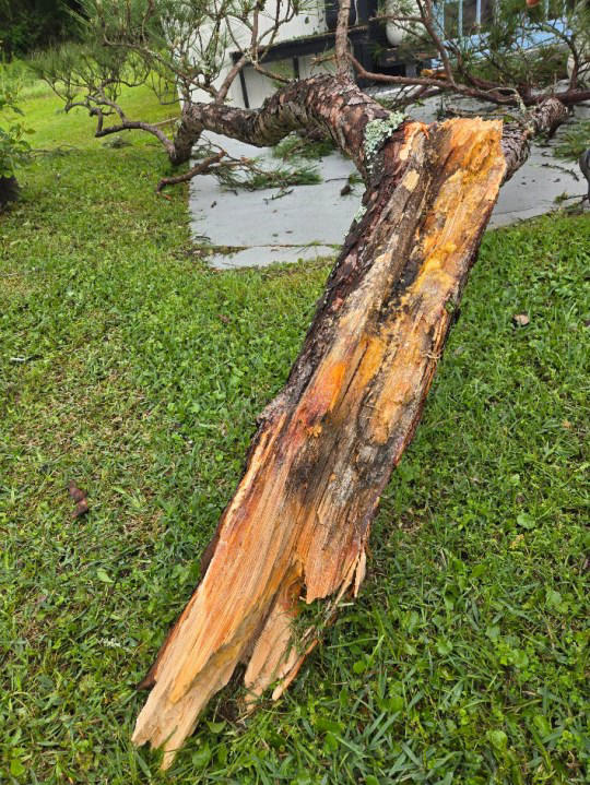 Photos: Hail pelts homes, buildings, vehicles as storms move through ...