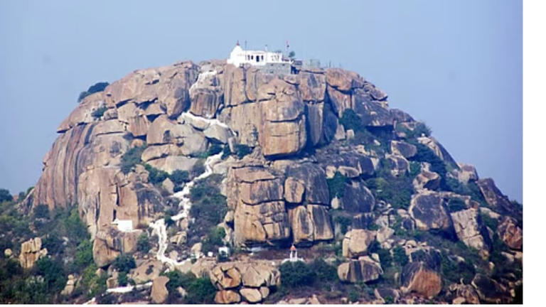 Anjanadri Hill: Grandson carries 90-year-old grandma up 575 steps for ...