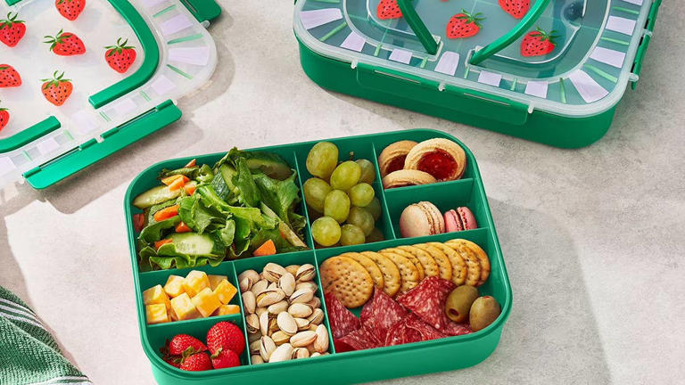 Sam’s Club’s spring-ready $13 find is a perfect way to organize pet ...