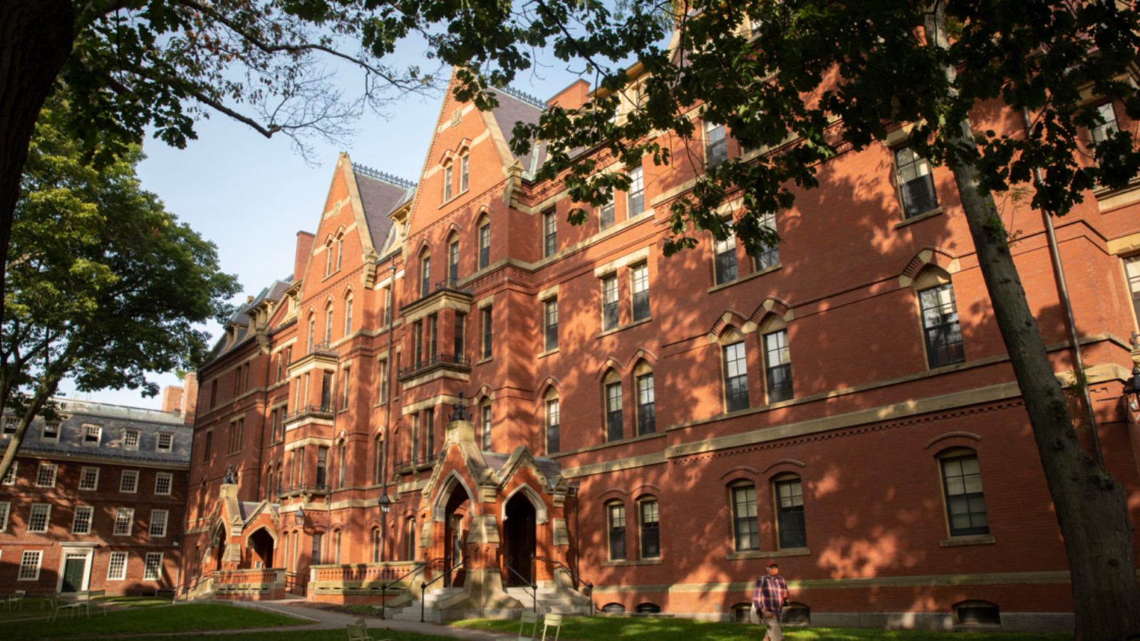 Harvard University’s plan to expand writing class size draws union ...