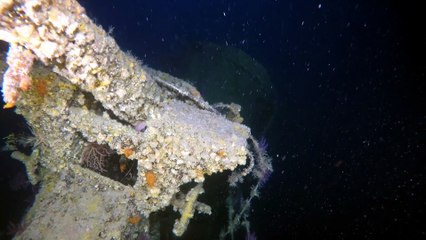 Divers discover 'HMS Urge'