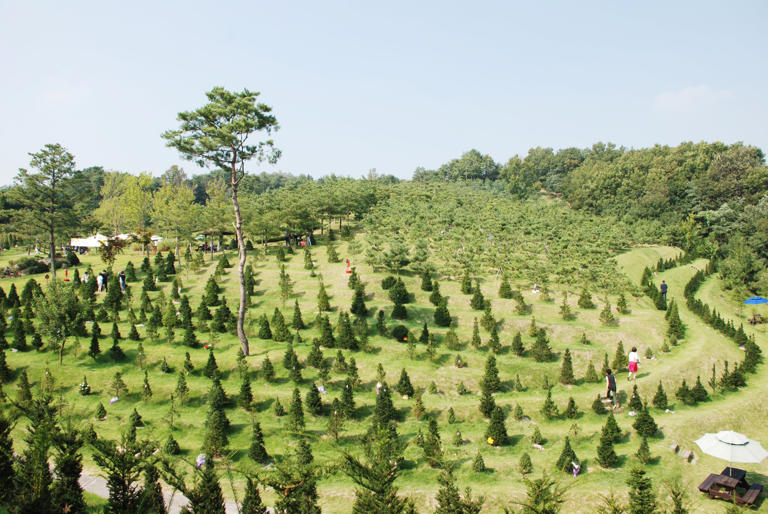View of Utopia Sumokjang in Anseong City, Gyeonggi Province. /Courtesy of Woongjin Preed Life