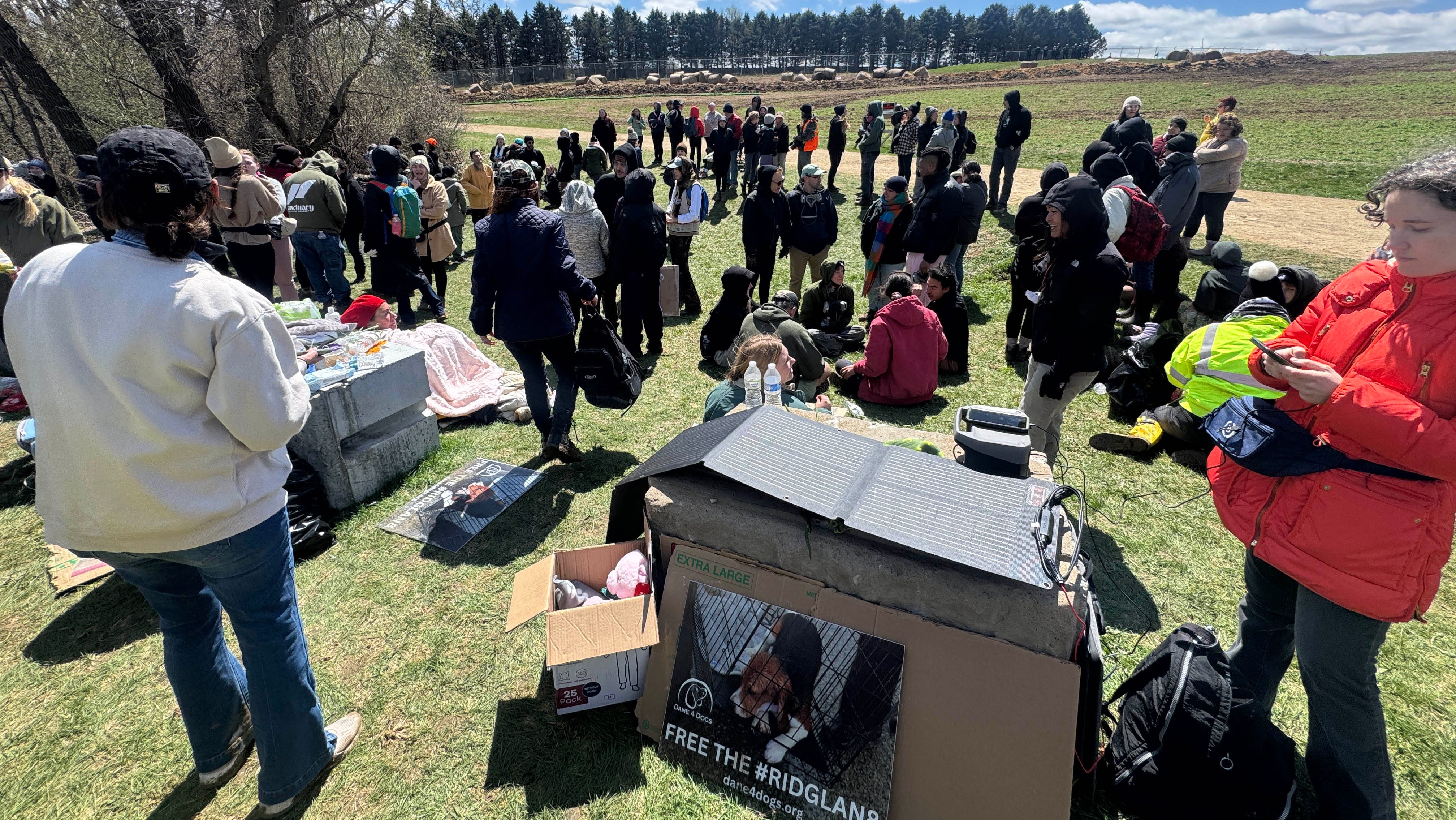 Animal activists storm beagle farm in second 'rescue' attempt