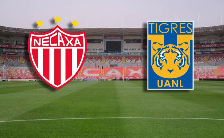 Necaxa vs Tigres en vivo: Juego online | Liga MX hoy | Jornada 15 ...