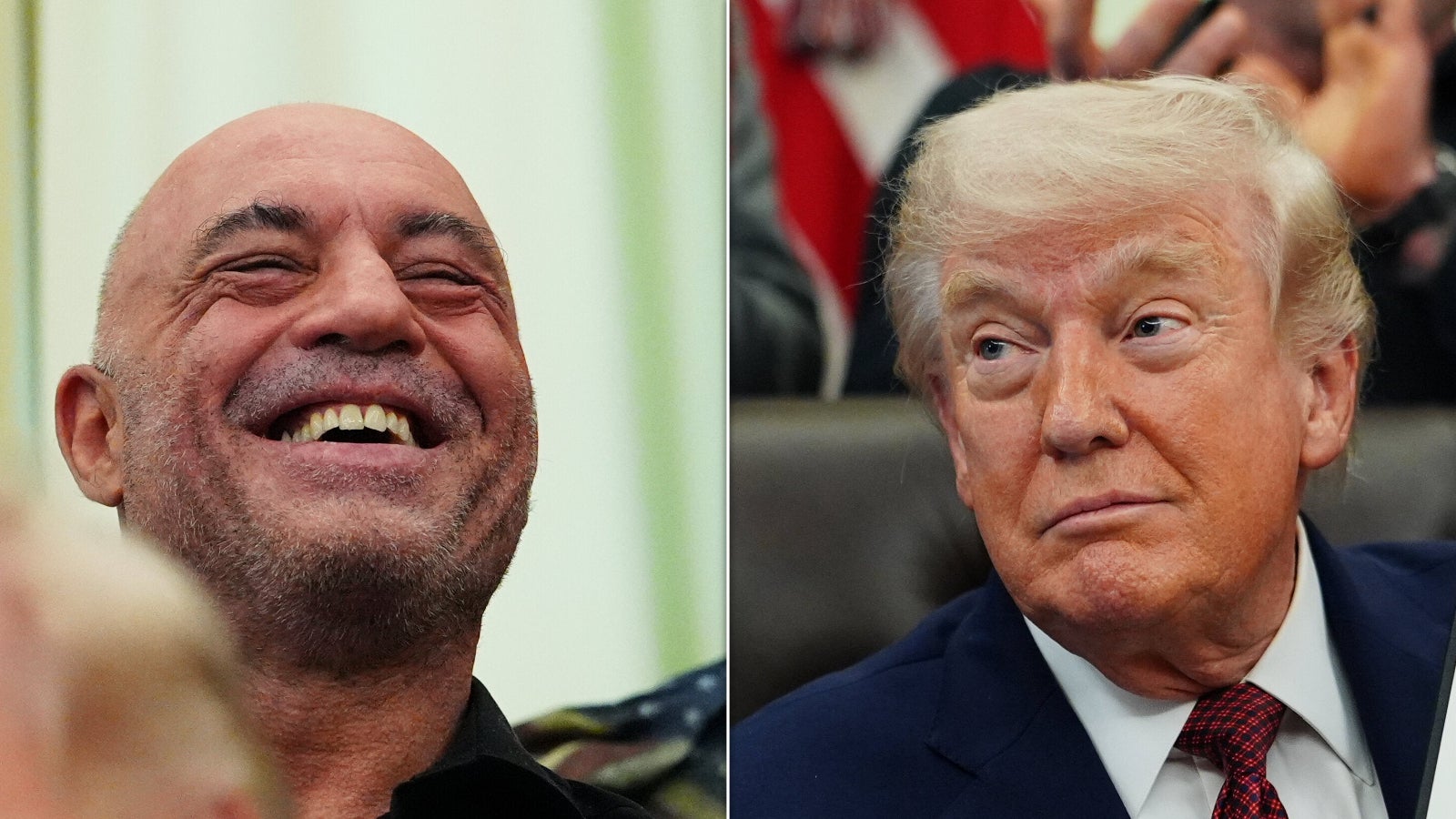 CNN analyst says this is why Trump keeps Joe Rogan 'close,' but attacks ...