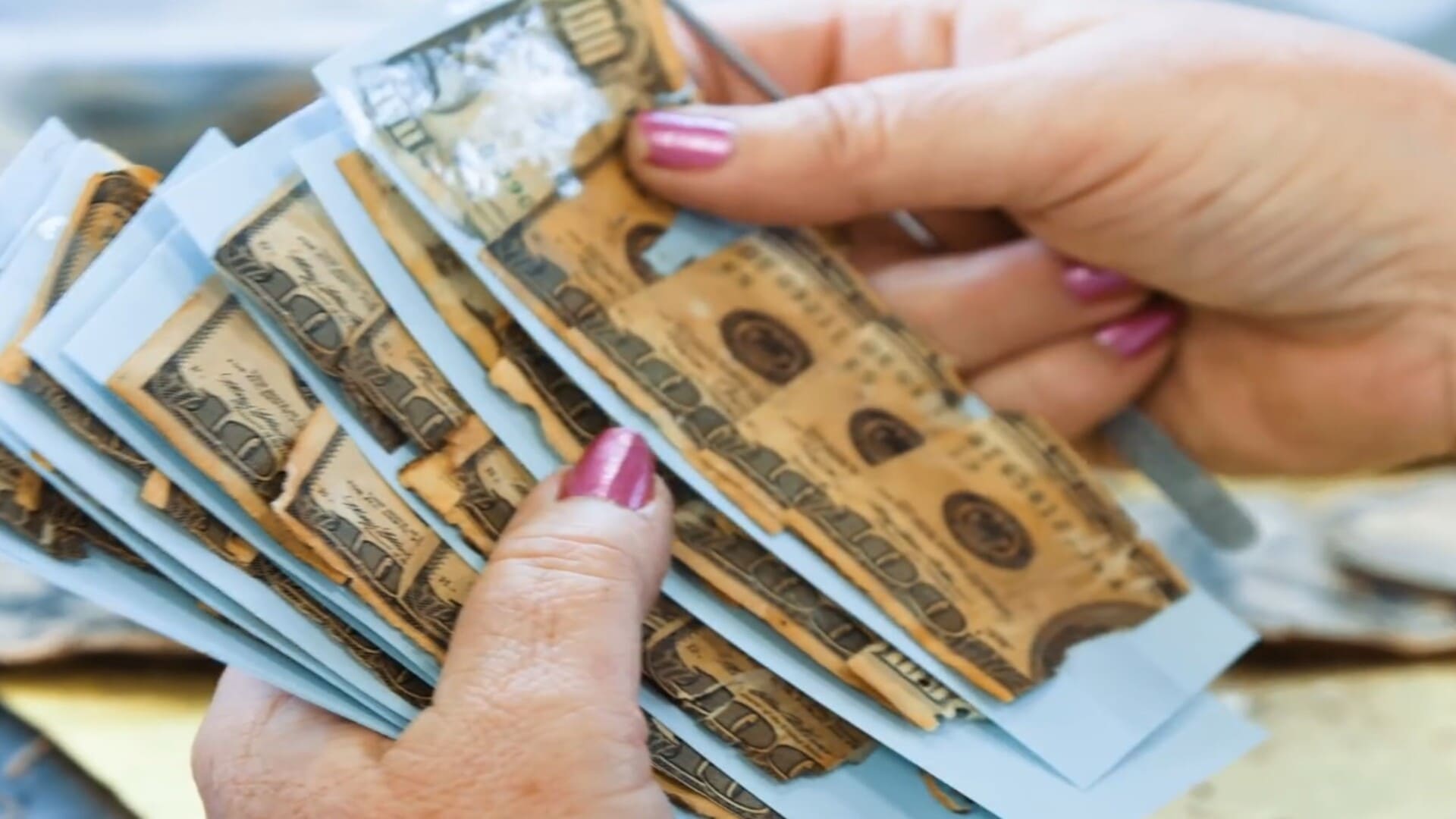 How the US Mutilated Currency Division restores damaged money
