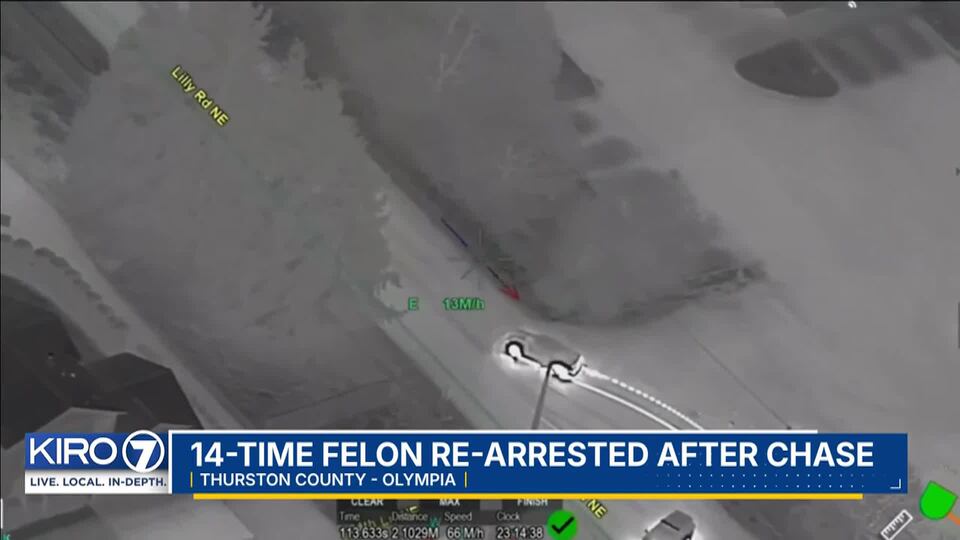 Video: 14-time convicted felon arrested after police chase