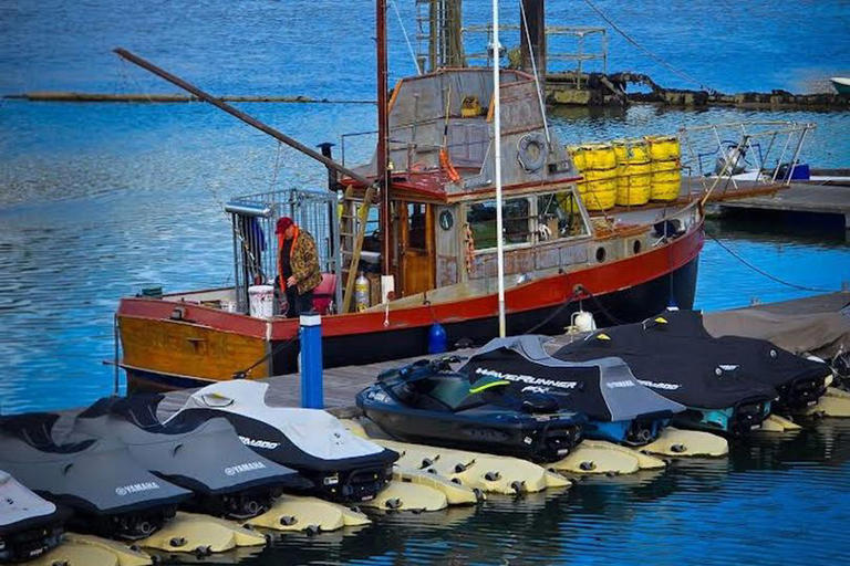 Couples clamour to tie knot on Jaws replica boat mistaken as April Fool ...