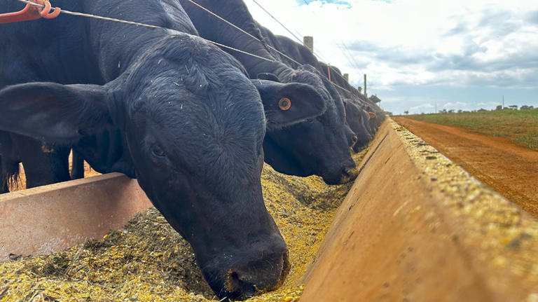 The beef suppliers behind McDonald's iconic burgers