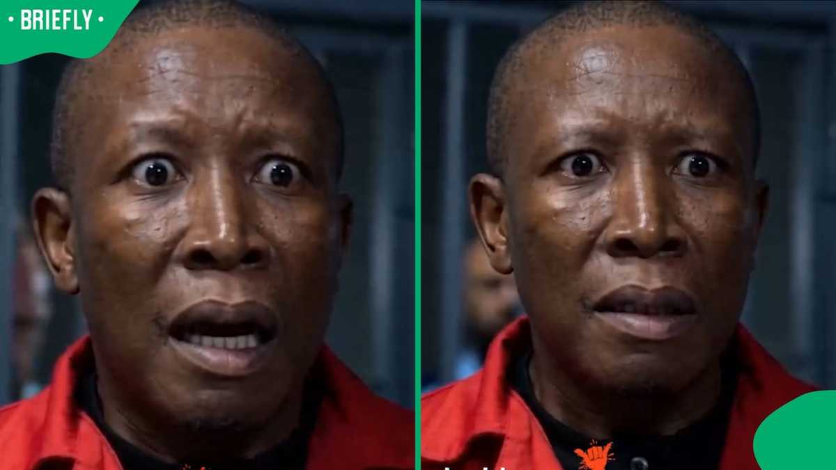 Mzansi cracks up as AI clip puts Malema behind bars with Groenewald ...