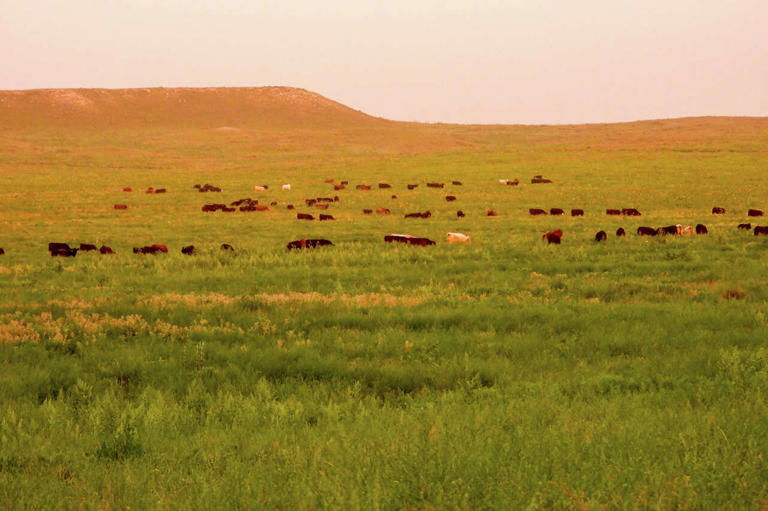 Sprawling 88,000-acre ranching empire listed across Texas and Oklahoma