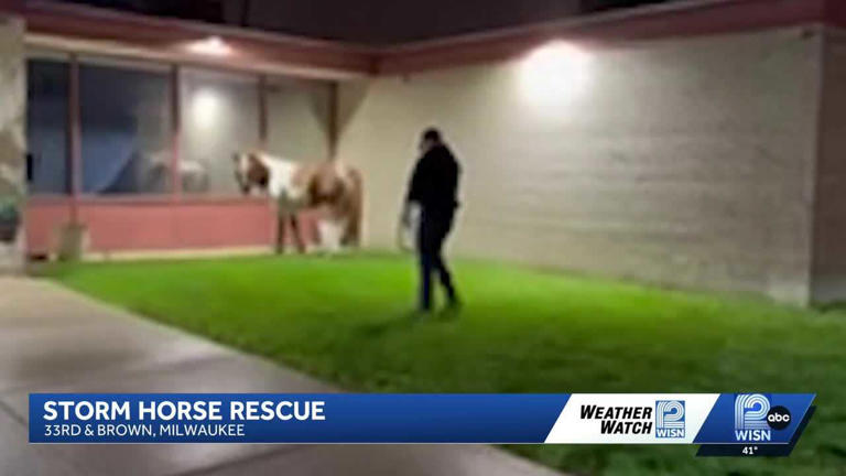 Horse rescued after flooding in Milwaukee