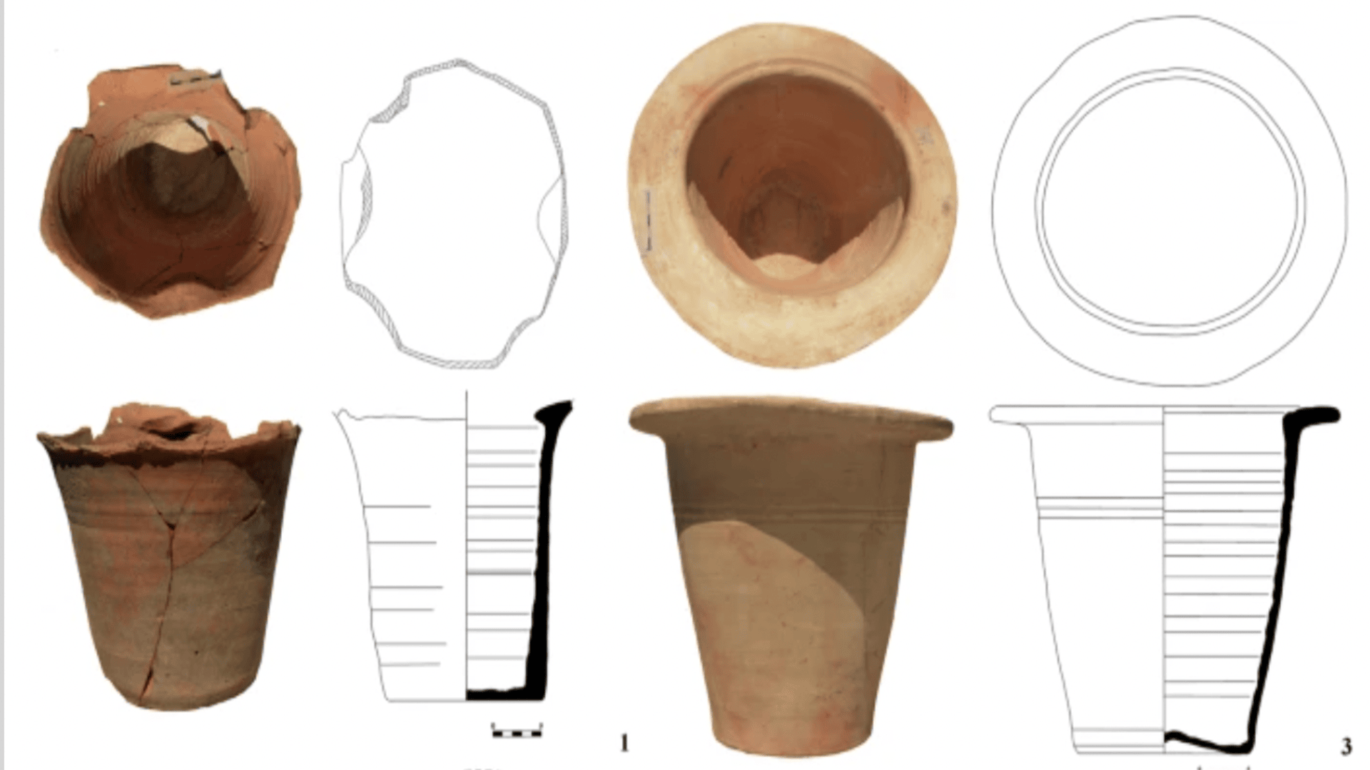1,800-year-old feces reveal disease and hygiene linked to Roman Empire ...
