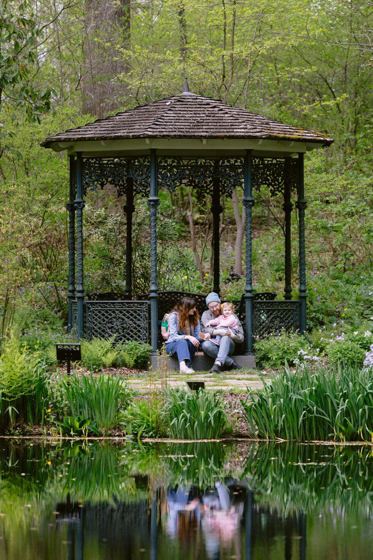 Unwind, explore and enjoy spring in the gardens at Mt. Cuba Center