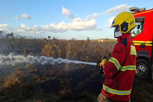40 firefighters tackle blaze that tore through 15 hectares of land