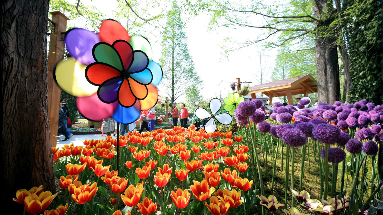 15 family trips in April with flower festivals, boat rides, and easy ...