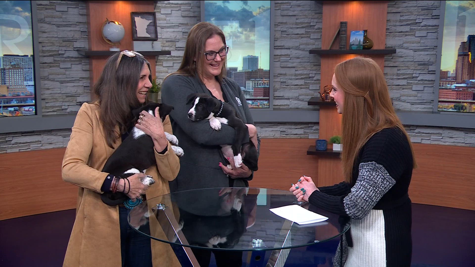 Pet Haven hosts puppy adoption event at new location