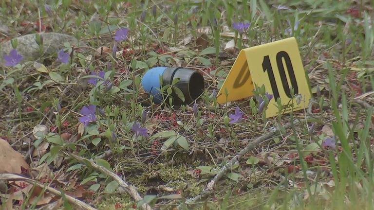 Investigation underway after police fatally shoot man in Lexington