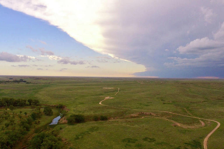 88,000-acre Texas-Oklahoma ranch to sell family-run operation for $127M