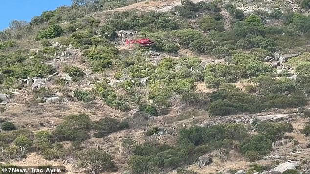 Family of grandmother, 81, who died on island when cruise ship left ...
