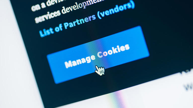 Should you accept or reject cookies from a website?