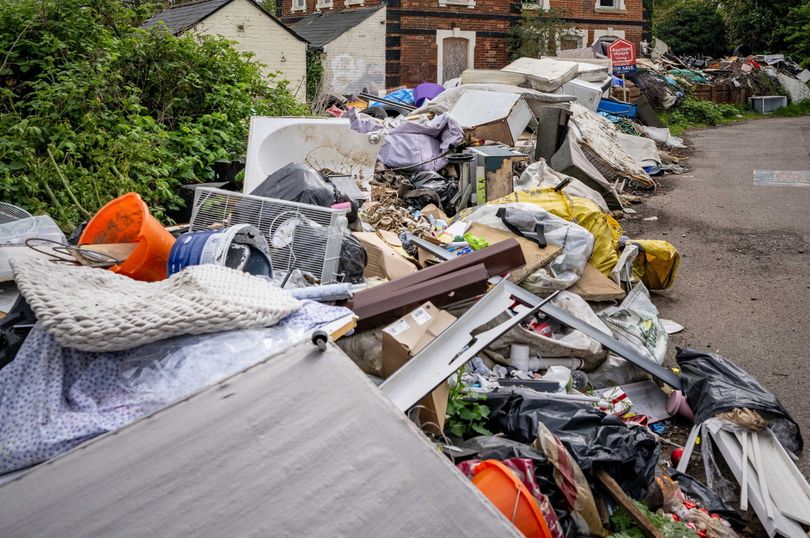 Waste cowboys facing huge crackdown after cow was legally approved to ...