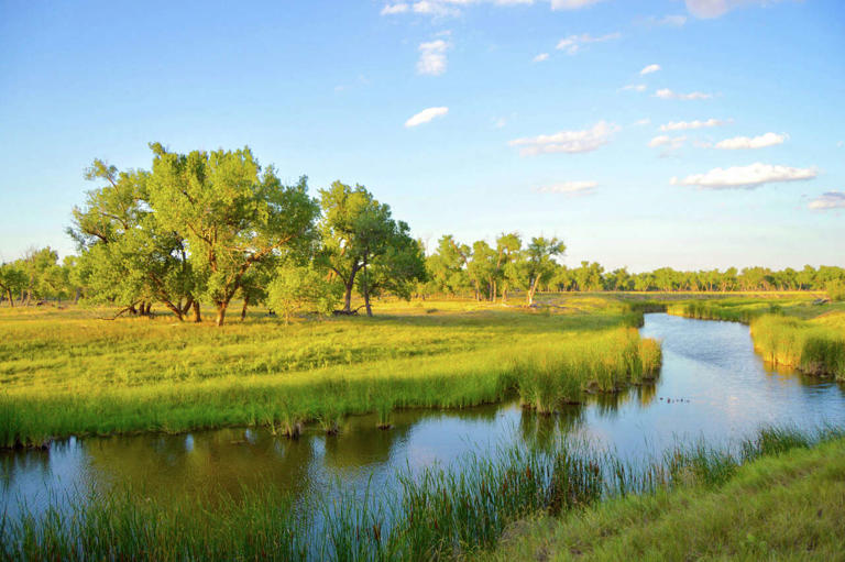 88,000-acre Texas-Oklahoma ranch to sell family-run operation for $127M