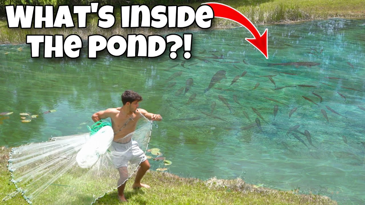 I discovered hidden fish in my pond! 🎣