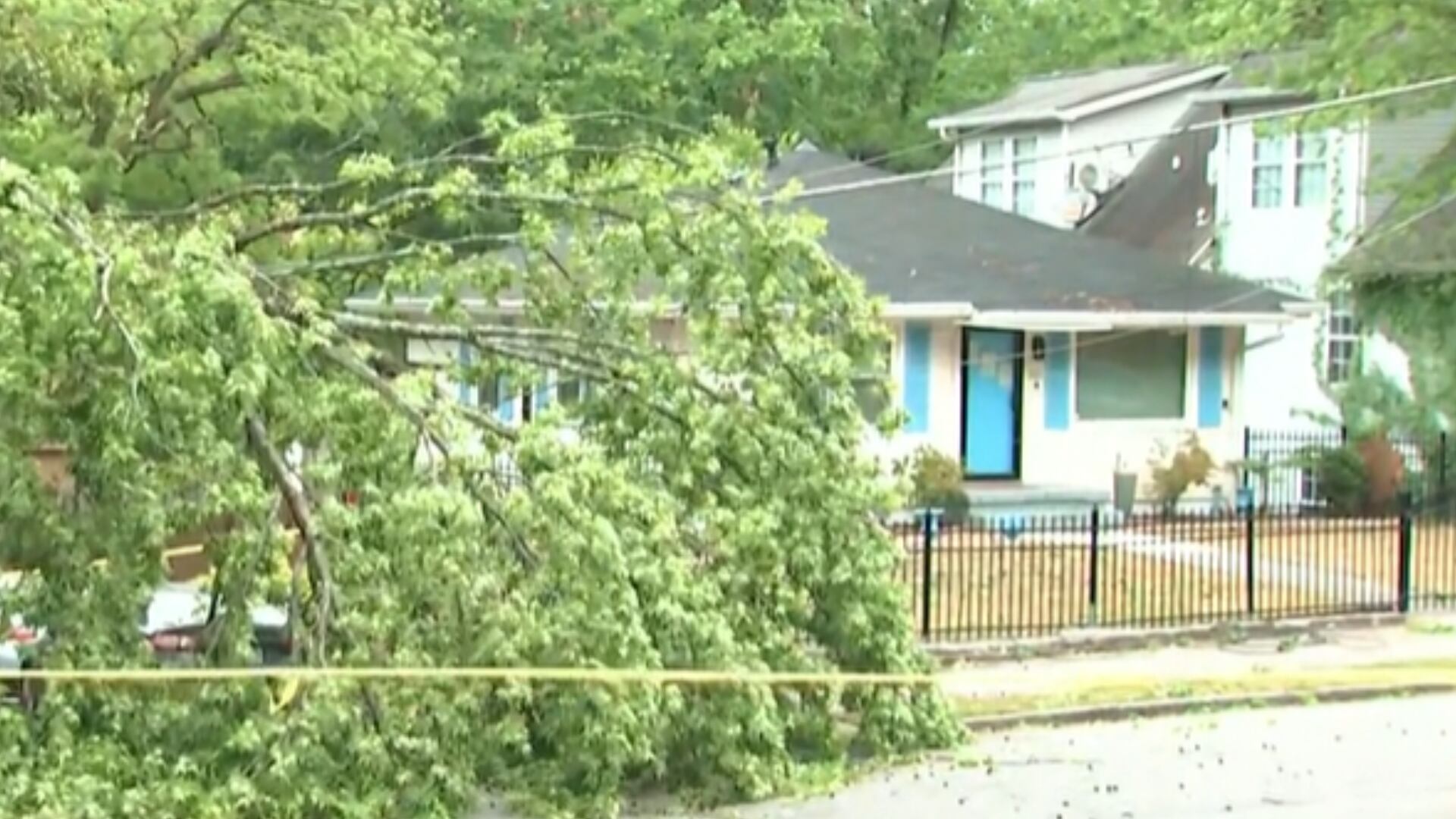 Tree down on power lines causes outages in Midtown Atlanta