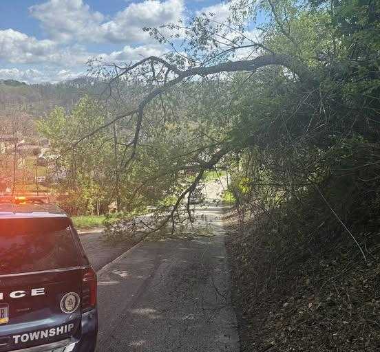 Road reopens hours after tree brings down wires in Allegheny County