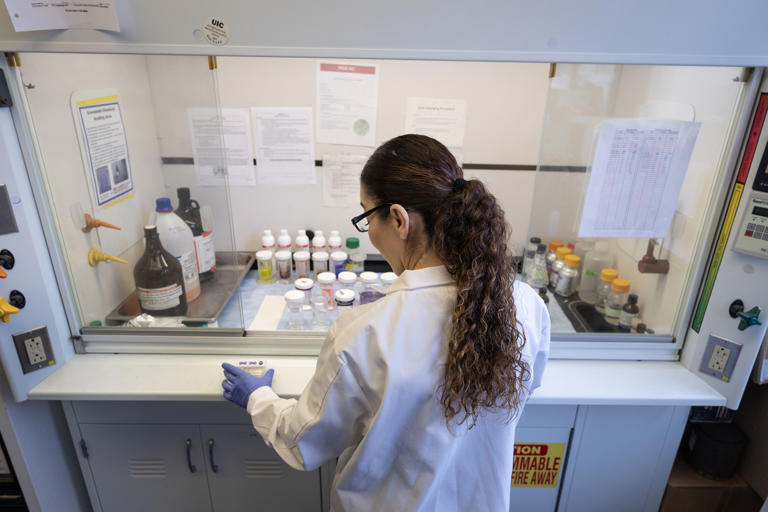 For US medical researchers, shrinking labs and bare budgets are the new ...