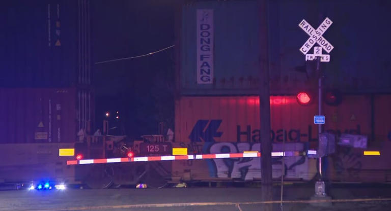 'Somebody was hit by a train;' 911 call details moments after deadly ...