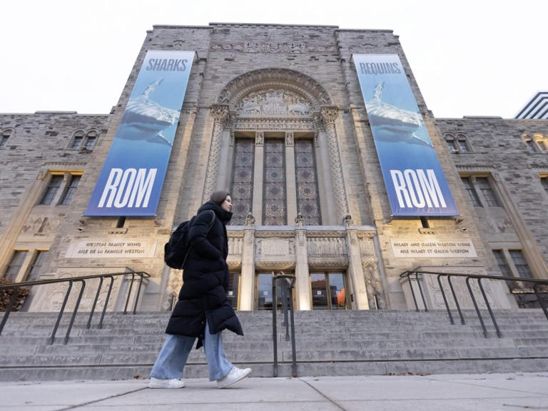 Free activities coming up in Toronto