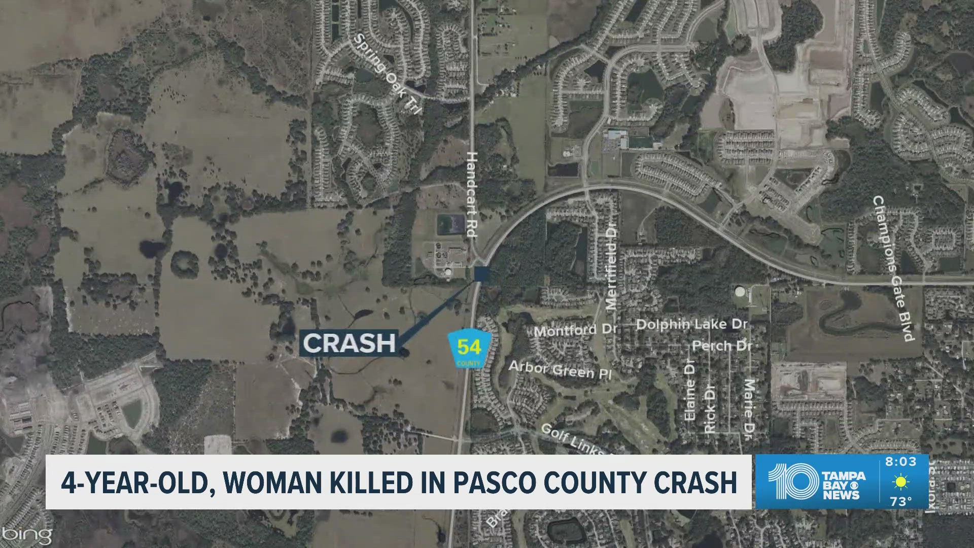 2 dead, including 4-year-old boy, after crash in Pasco County