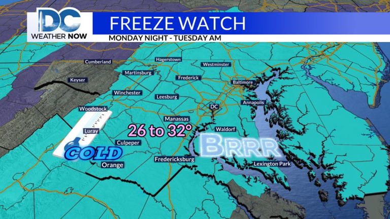 Freezing temps, once again, pay the DMV a visit