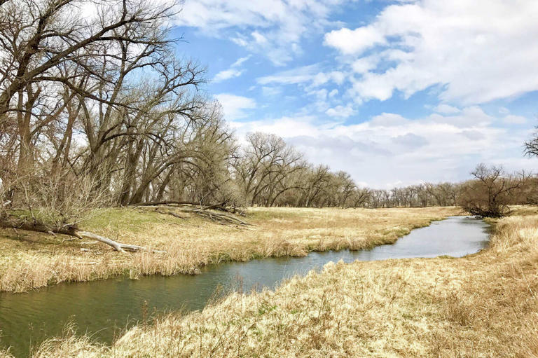 88,000-acre Texas-Oklahoma ranch to sell family-run operation for $127M