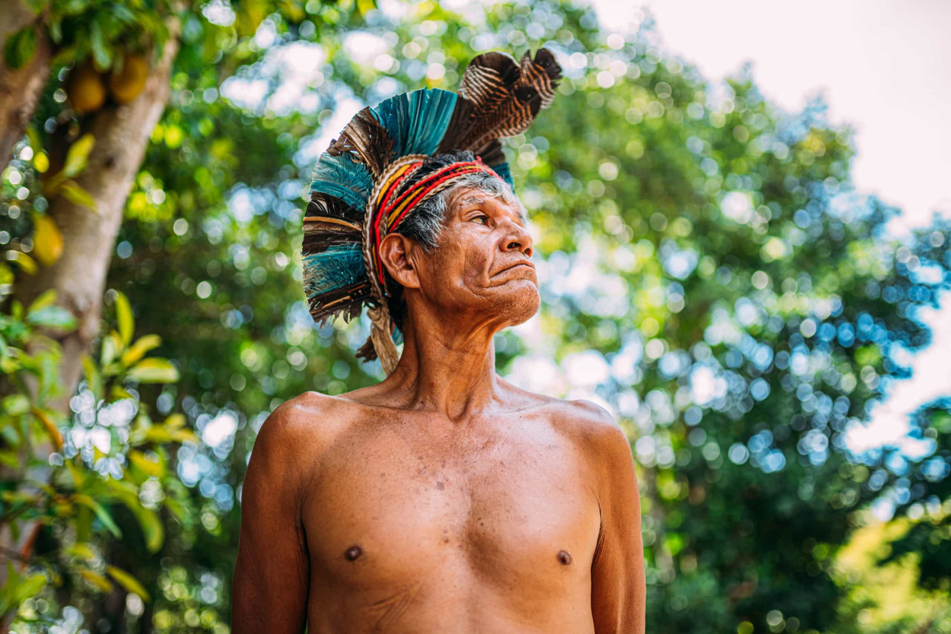 Legados culturais que herdamos de africanos e indígenas (e nem percebemos)