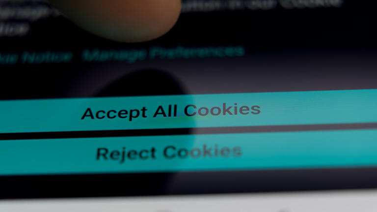 Should you accept or reject cookies from a website?