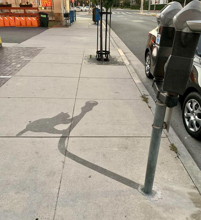 48 times people spotted surprising shadows worth photographing