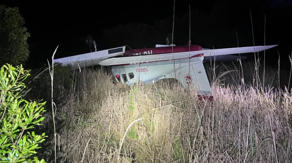 Pilot survives plane crash in Florida wildlife area