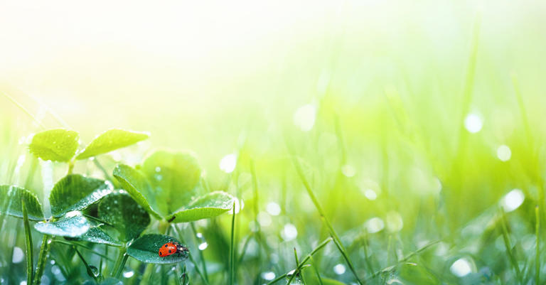 穀雨後誰最有機會翻身? 轉運生肖公開，旺運方法一次收