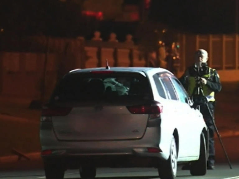 Pedestrian killed by car while walking dog