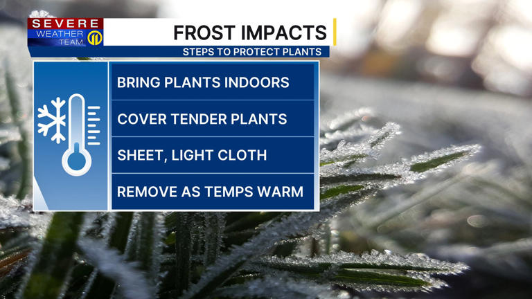 Frost & freeze alerts in effect tonight as temperatures dip; scattered ...