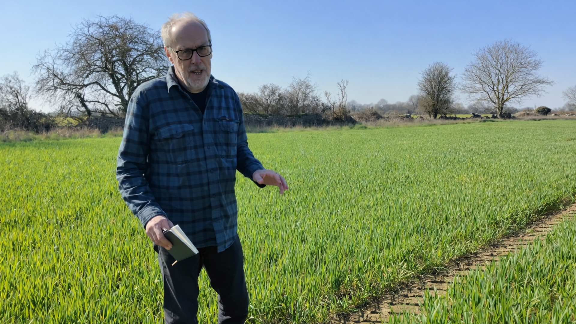 Is it still worth growing wheat in this economy?