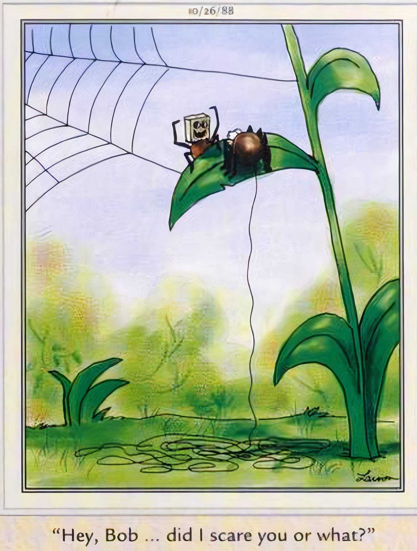 Far Side, October 26, 1988, spider wearing a paper bag mask scares the webbing out of its friend