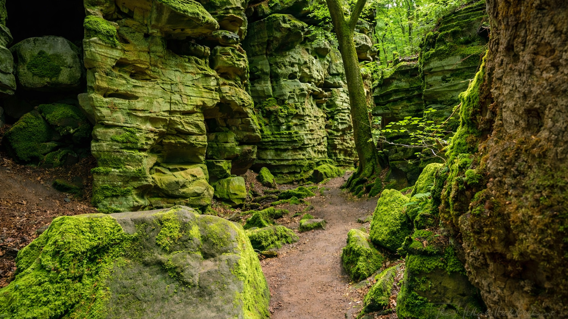 Hiking Teufelsschlucht Germany’s legendary Devil’s Gorge (4K)