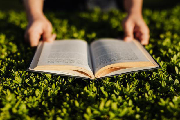 National Year of Reading 2026 - locations and opening times of local ...