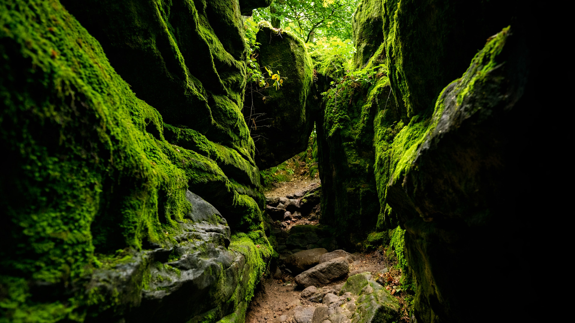 Germany’s Devil’s Gorge Trail in the Eifel (4K)