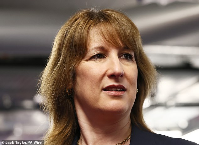 Reeves's 'bold' plans to cut energy costs are cold comfort for industry ...