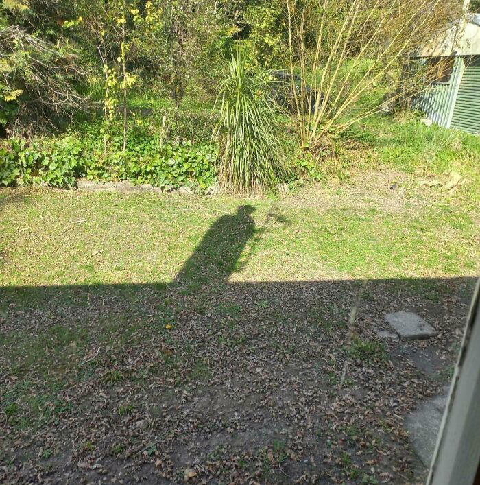 48 times people spotted surprising shadows worth photographing